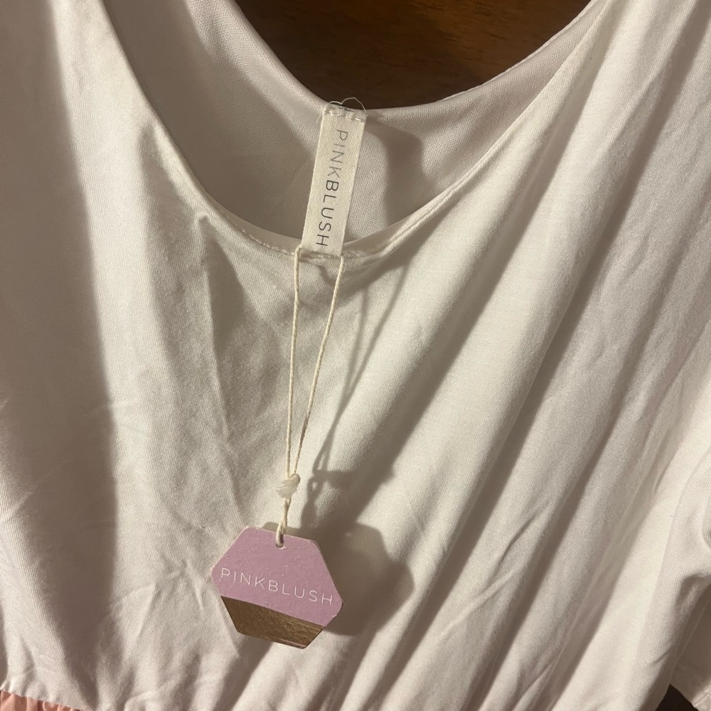 PinkBlush colorblock dress